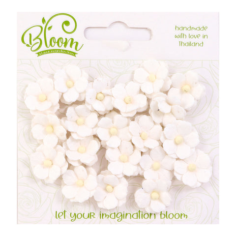 BLOOM | Sweetheart Blossoms | White