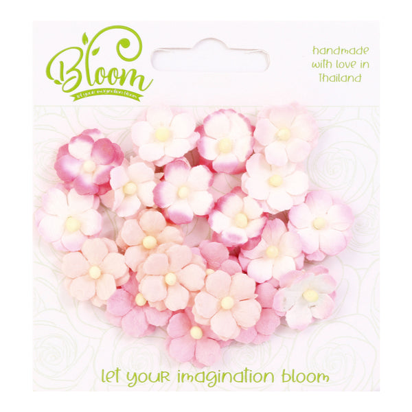 BLOOM | Sweetheart Blossoms | Pinks