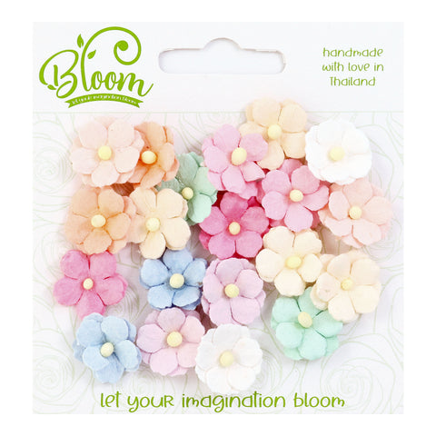 BLOOM | Sweetheart Blossoms | Pastels