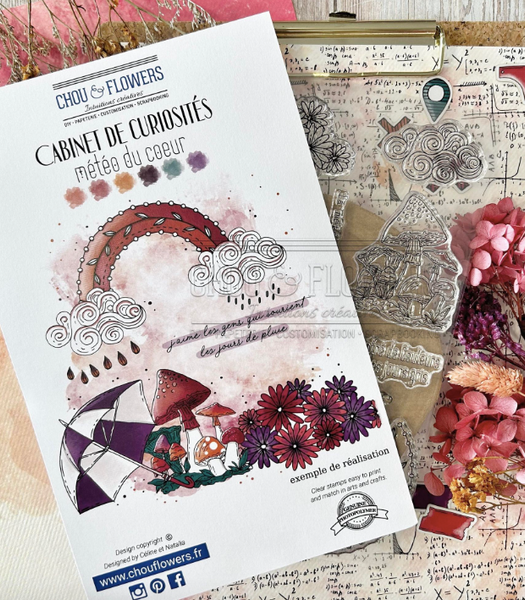 CHOU&FLOWERS Cabinet De Curiosites | Météo Du Coeur