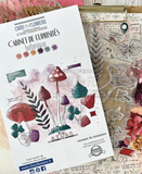 CHOU&FLOWERS Cabinet De Curiosites | Botanique | Botanical