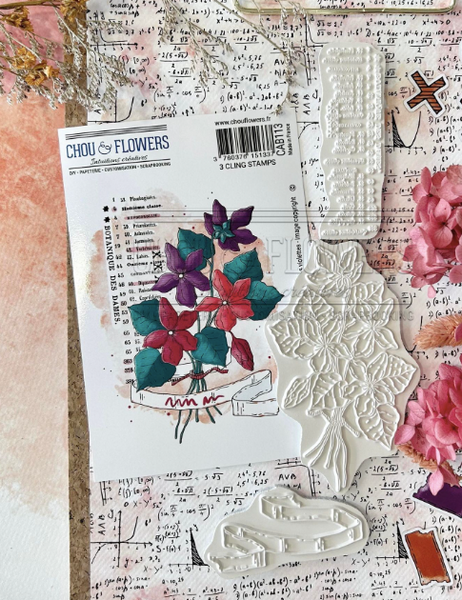 CHOU&FLOWERS Cabinet De Curiosites | Les Violettes | Violets