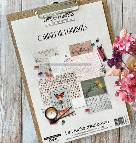 CHOU&FLOWERS Cabinet De Curiosités | Paper Pack A4