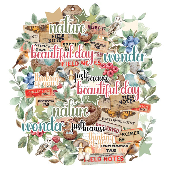 UNIQUELY CREATIVE Creative Cuts | Botanical Chronicles