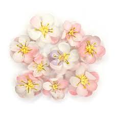 PRIMA Flowers | Cherry Blossom | Mae Ella