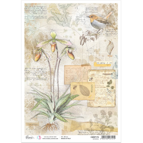 CIAO BELLA Rice Paper | Botanical