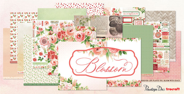 PENELOPE DEE Blossom | Collection Pack